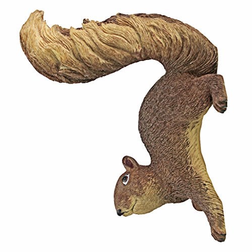Design Toscano Simone, The Squirrel Hanging Sculpture - Image 1