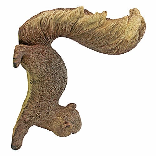 Design Toscano Simone, The Squirrel Hanging Sculpture - Image 4