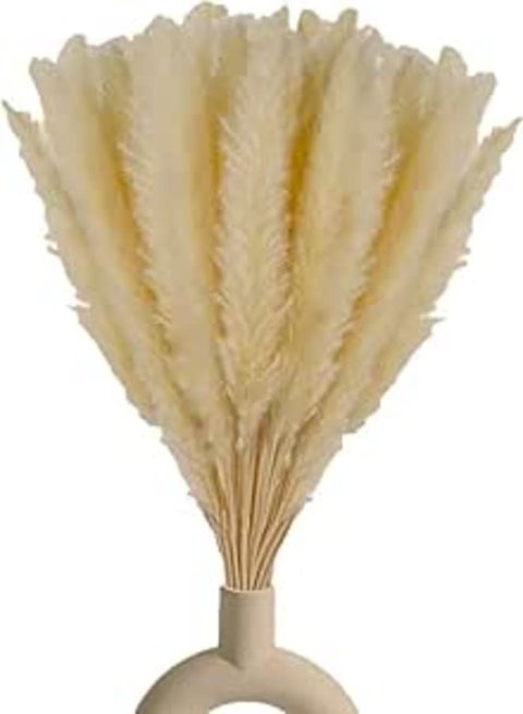 Original Dried flowers Original pampas Grass -Tall Extra Fluffy- faux Artificial Dried - Home Decoration - Table Decor (10)