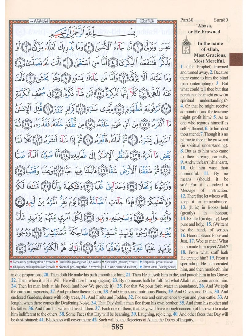 جزء عم مصحف التجويد  مع الترجمة الإنجليزية والطباعة الصوتية مقاس وسط 17*24 (علبة تحتوي على15حبات) - Image 4