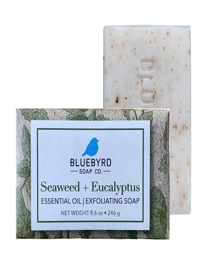 BLUEBYRD SOAP CO. BLUEBYRD Soap Eucalyptus & Seaweed Exfoliating Large Soap Bar, 100% Vegan Cold Press Scented w/Essential Oils, Body Soap Scrub for Men & Women, Natural Oatmeal, Shea Butter, Olive Oil, 8.6oz - Image 1