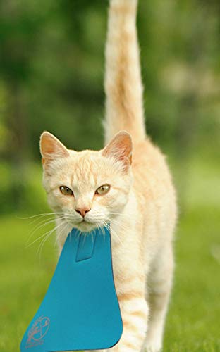CatBib Bird Saving Cat Collar, Prevent Cats from Catching & Killing Birds, Anti Hunting Colorful Bib to Save Birds & Other Wildlife (Small, Turquoise) - Image 3