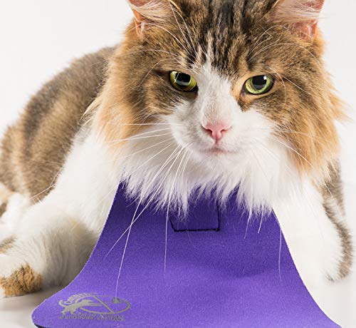 CatBib Bird Saving Cat Collar, Prevent Cats from Catching & Killing Birds, Anti Hunting Colorful Bib to Save Birds & Other Wildlife (Small, Turquoise) - Image 4