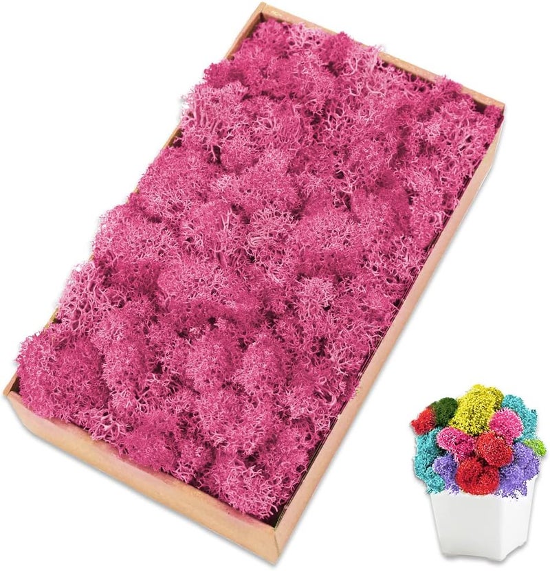 TCYPUHL Preserved 7 OZ Pink Reindeer Moss for Potted Plants,Craft Decor for Wall Art,Fake Moss for DIY Decorative(7OZ, Pink) - Image 1