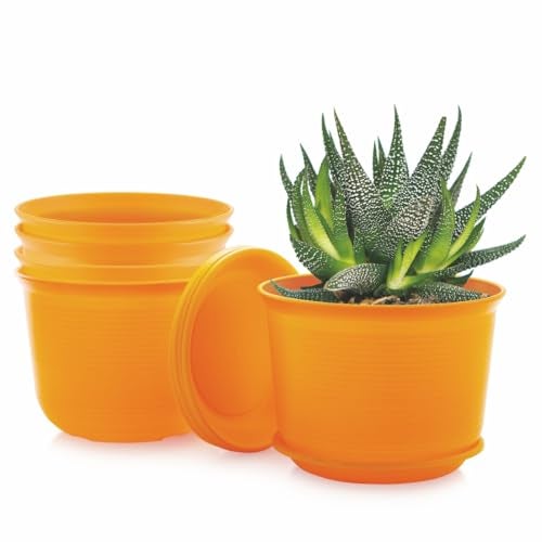 INKULTURE 10 Inch Plastic Round Flower Pots with Tray for Home Planters, Terrace, Garden Etc | Pack of 05 | Yellow | for Home Indoor & Outdoor Gardening Plants - Image 1