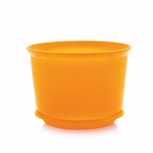 INKULTURE 10 Inch Plastic Round Flower Pots with Tray for Home Planters, Terrace, Garden Etc | Pack of 05 | Yellow | for Home Indoor & Outdoor Gardening Plants - Image 5