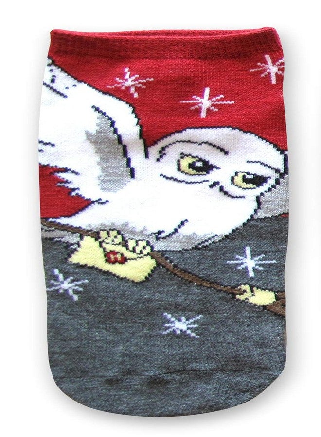 HYP Harry Potter Hedwig Hogwarts Letter Juniors/Womens 5 Pack Ankle Socks Size 4-10 Multi - Image 2
