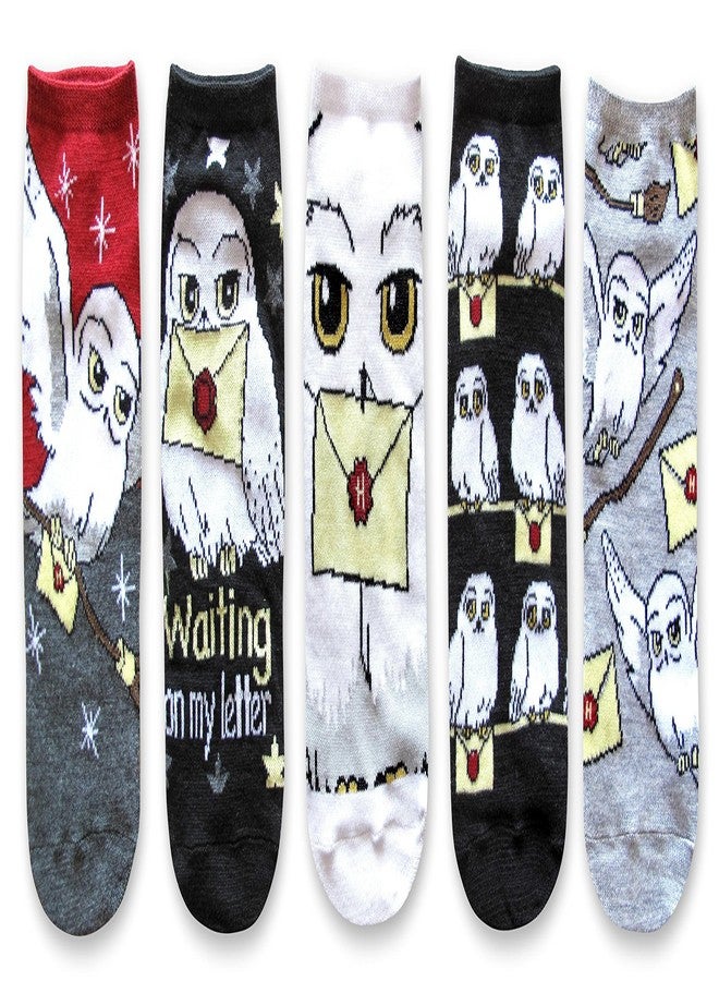 HYP Harry Potter Hedwig Hogwarts Letter Juniors/Womens 5 Pack Ankle Socks Size 4-10 Multi - Image 1