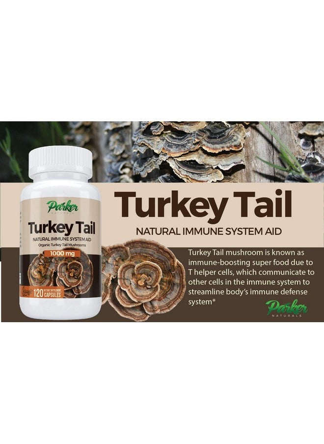Parker Naturals - Premium Organic Turkey Tail Mushroom Capsules Supports Immune System Health. Nature - Image 1