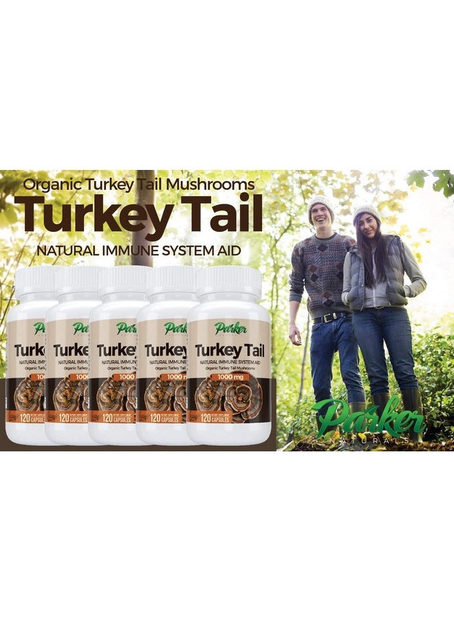 Parker Naturals - Premium Organic Turkey Tail Mushroom Capsules Supports Immune System Health. Nature - Image 1
