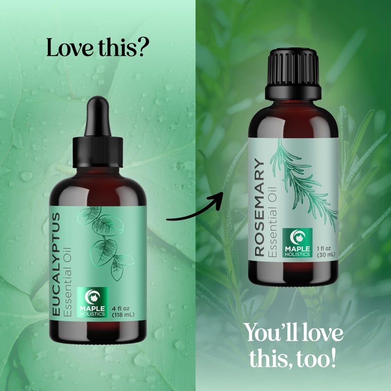 Maple Holistics Pure Eucalyptus Essential Oil 4oz Invigorating Home Spa Aromatherapy and Natural Bath Oil - Eucalyptus Oil for Diffuser Dry Scalp Care and DIY Skin Care - Image 5
