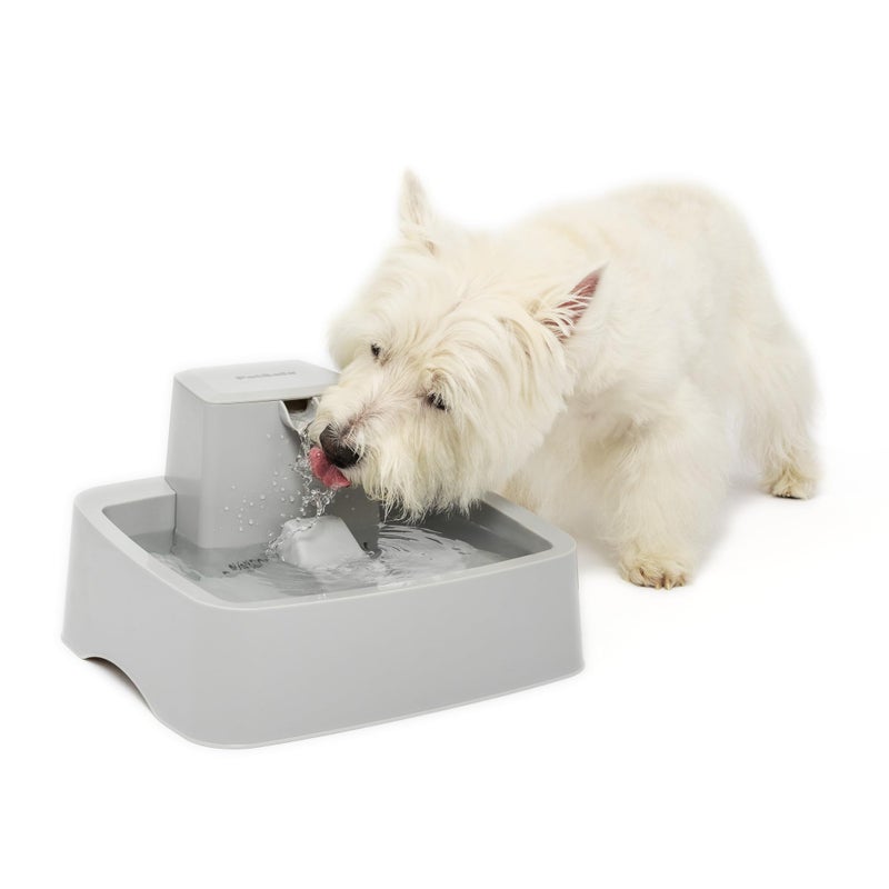 PetSafe Oasys 1 Gallon 128 Ounce Medium Pet Fountain Cat or Medium Breed Dog Water Fountain Dishwasher Safe Filtered Water Dispenser with Flow Control Filters Included Easy to Clean