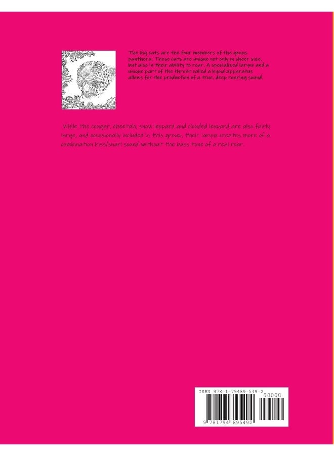 Big Cat Faces Coloring Book - Image 2