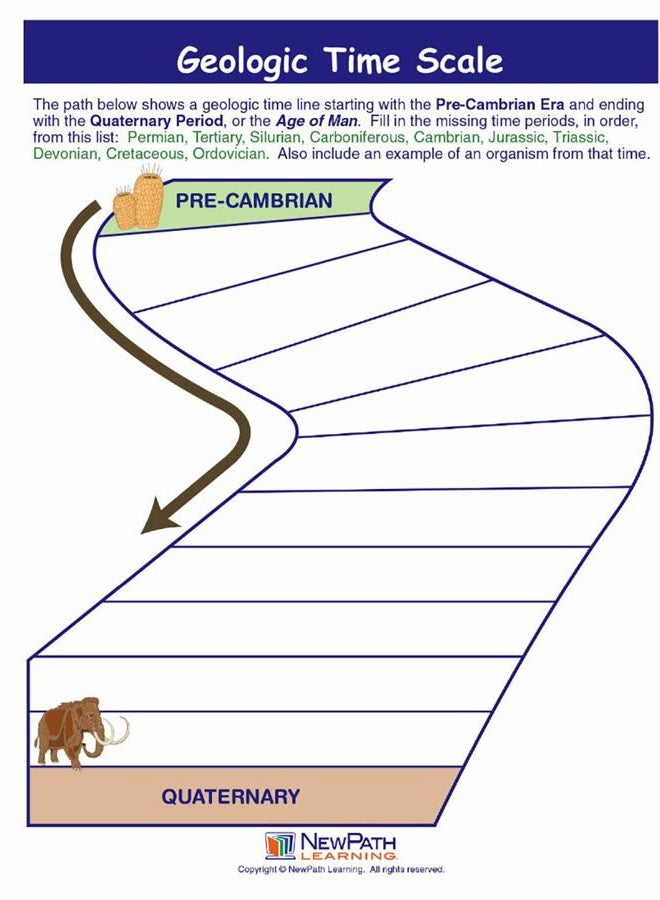 New Path Learning 947122 Geologic Time Scale Visual Learning Guides, Set/5-4-Panel, 11" x 17" Laminated Guides, Full-Color Graphic Overview, Write-On/Wipe-Off Activities - Image 3