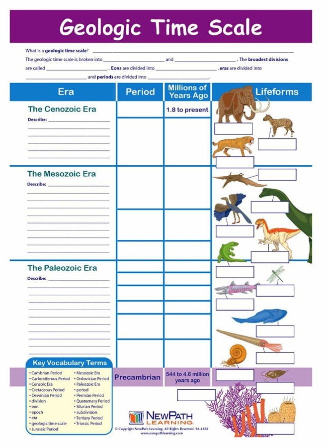 New Path Learning 947122 Geologic Time Scale Visual Learning Guides, Set/5-4-Panel, 11" x 17" Laminated Guides, Full-Color Graphic Overview, Write-On/Wipe-Off Activities - Image 2