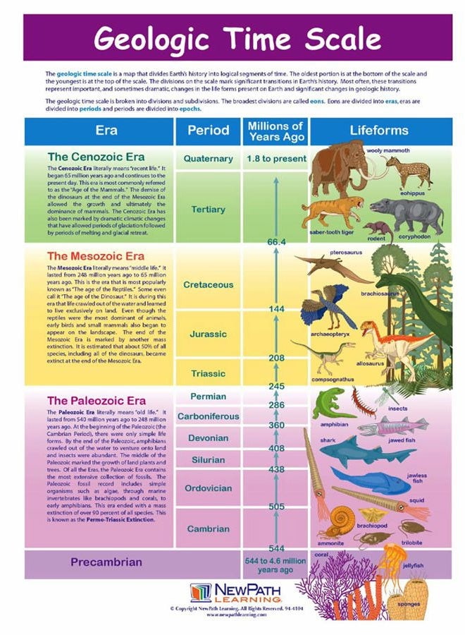New Path Learning 947122 Geologic Time Scale Visual Learning Guides, Set/5-4-Panel, 11" x 17" Laminated Guides, Full-Color Graphic Overview, Write-On/Wipe-Off Activities - Image 1