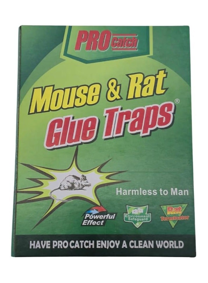 Generic PROCatch Mouse & Rat Glue Trap – Strong Adhesive Traps for Rodents, Insects, Ready to Use, 16.5cm x 21.5cm – Yellow Glue Paper  - Image 1
