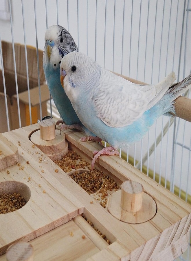 FlidRunest Wooden Bird Foraging Puzzle Toys for Parrots, Parakeet, Cockatiel, Sun Conures - Birds Interactive Mental Enrichment Toy, B ird Seed Slow Feeder Toy for Cage - Image 5