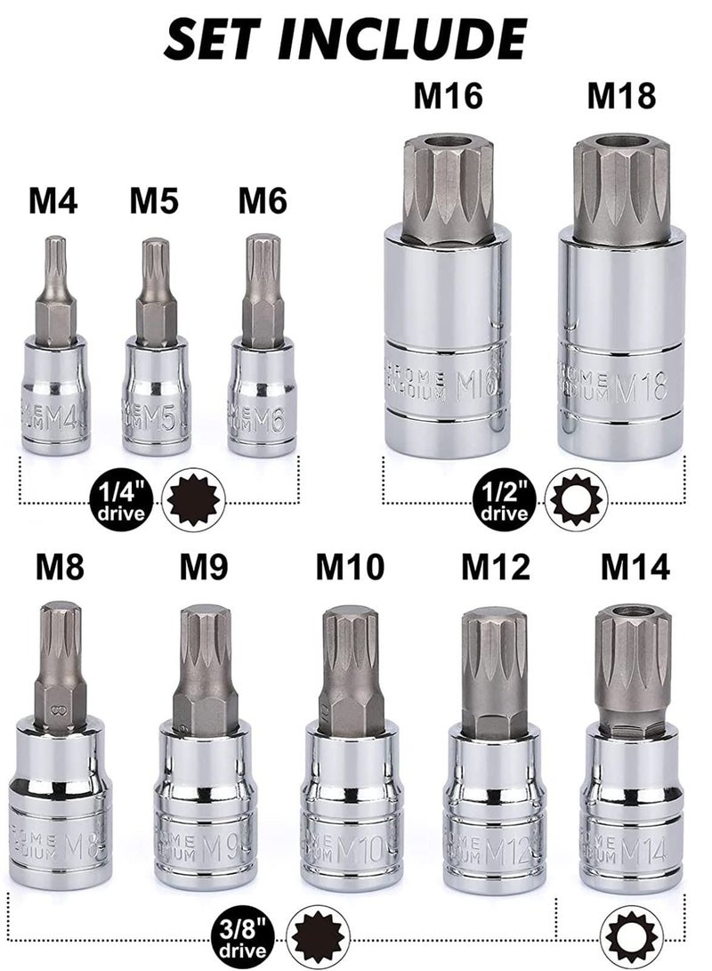 KASTWAVE Spline Socket Bit Set 10pcs Square Triple Silver M4 - M18 - Image 4