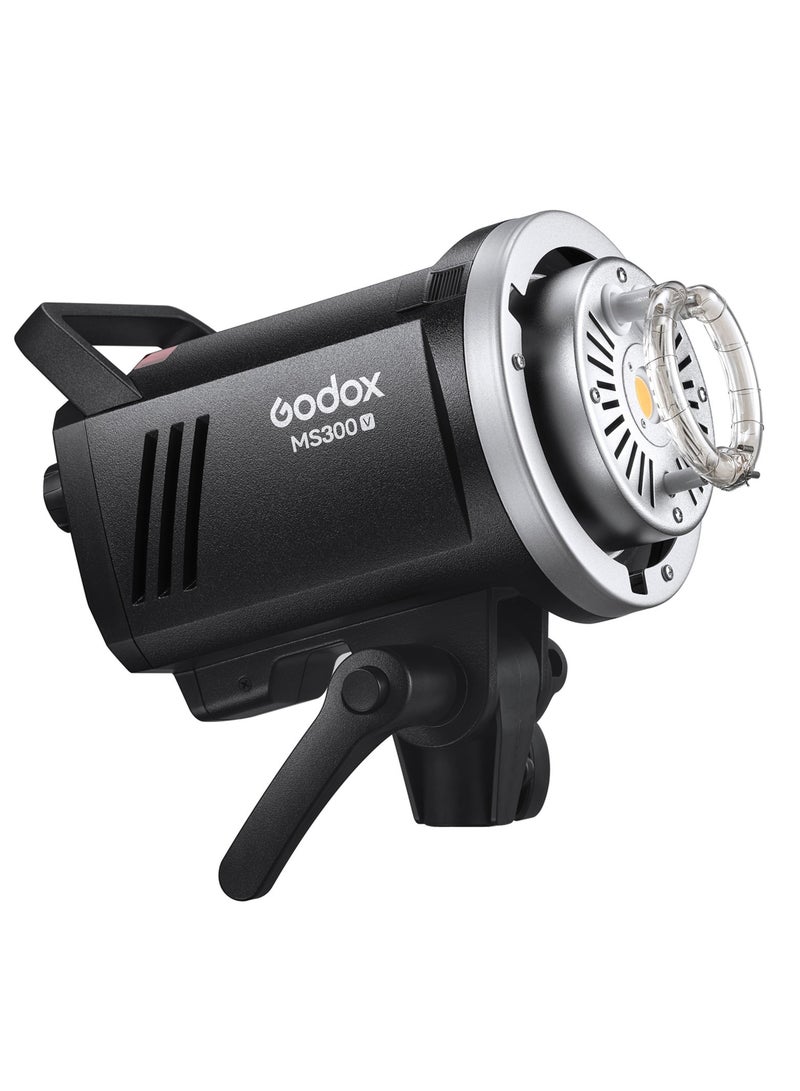 Godox MS300W Portable Studio LED Video Light - Image 1