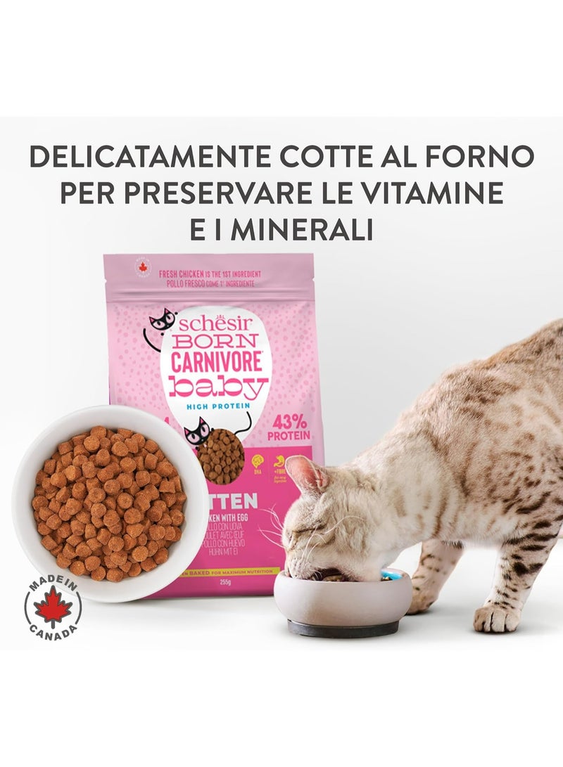 Schesir Born Carnivore Grain Free Oven Baked Dry Cat Chicken & Egg - Kitten - Image 3