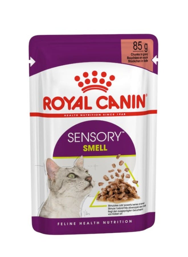 ROYAL CANIN Feline Health Nutrition Sensory Smell Gravy (WET FOOD - POUCHES) 12x85G - Image 1