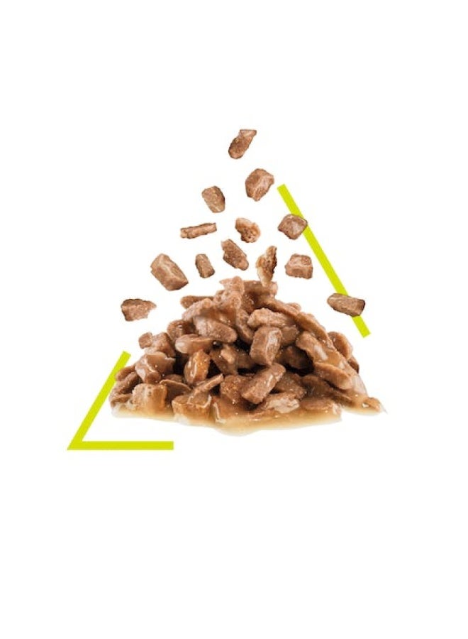 ROYAL CANIN Feline Health Nutrition Sensory Smell Gravy (WET FOOD - POUCHES) 12x85G - Image 3