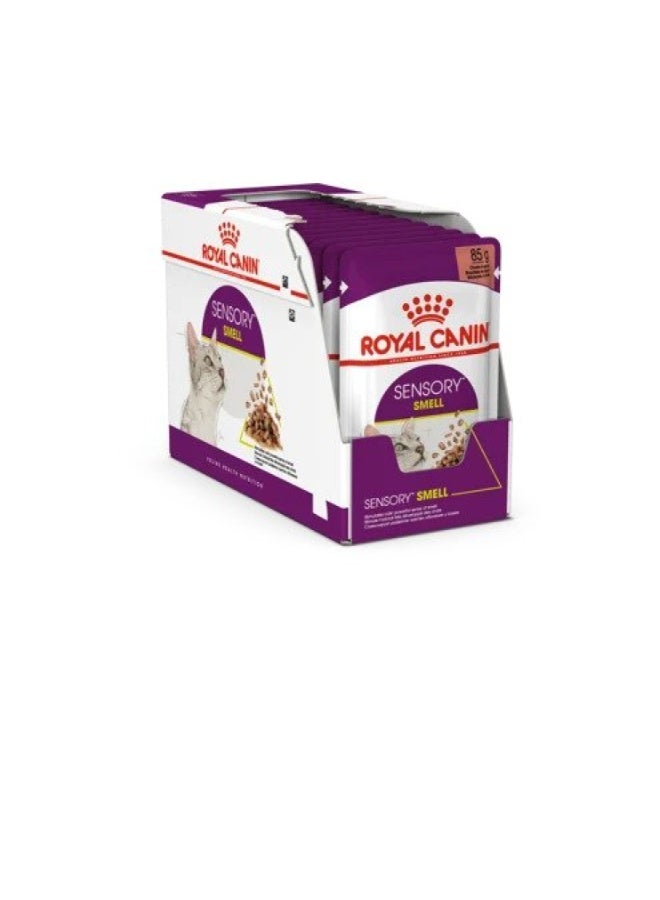 ROYAL CANIN Feline Health Nutrition Sensory Smell Gravy (WET FOOD - POUCHES) 12x85G - Image 2
