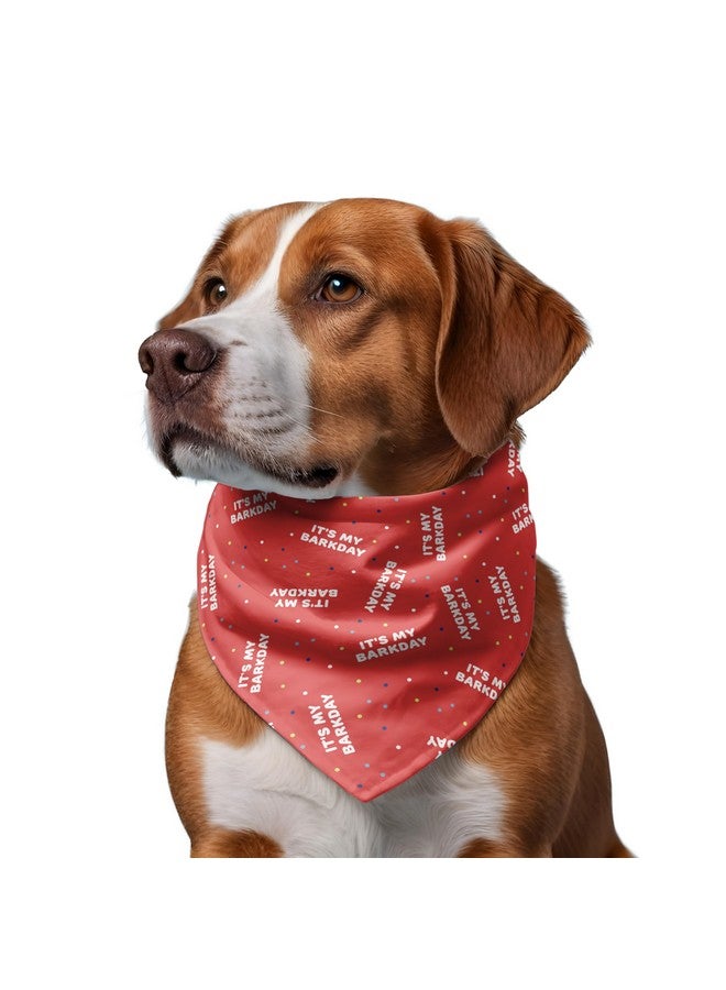 W It’s My BarkDay WoofBox Birthday Celebration Dog Bandana | This Stunning Gorgeous Dog Bandana Scarf is Perfect for Your Dog’s Birthday Celebration. One Size Fits All. - Image 4