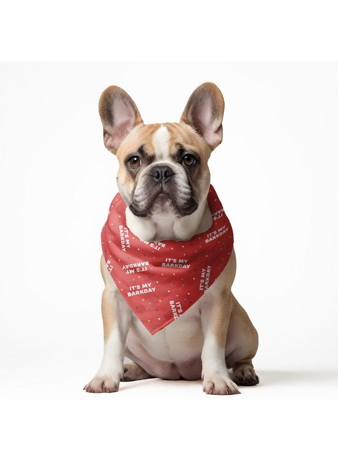W It’s My BarkDay WoofBox Birthday Celebration Dog Bandana | This Stunning Gorgeous Dog Bandana Scarf is Perfect for Your Dog’s Birthday Celebration. One Size Fits All. - Image 3