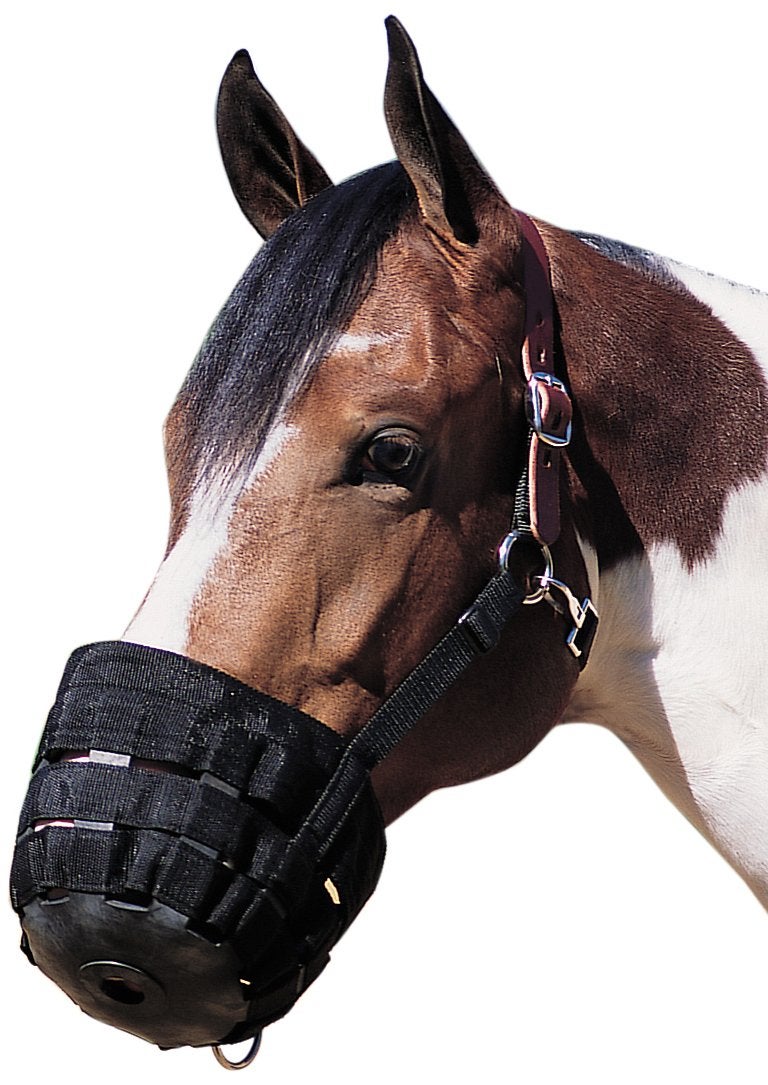 Weaver Leather Grazing Muzzle - Image 1