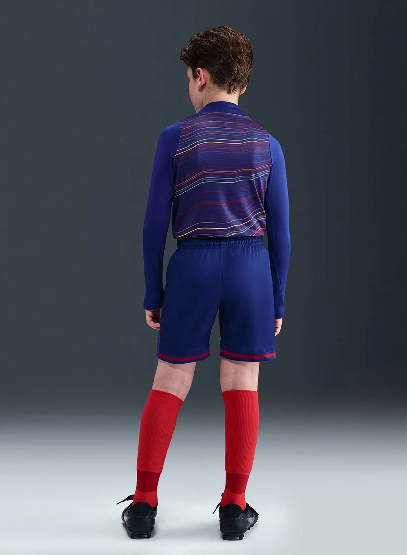 Nike Youth Fc Barcelona Dri-Fit Stadium Shorts