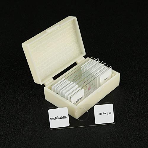 DIY-SCIENCE Prepared Bacteria and Fungi Microscope Slide Set, 9pcs Slides for Biology Teacher Students Micro Organisms Science Education - Image 4