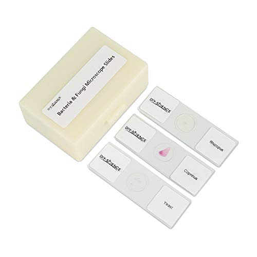 DIY-SCIENCE Prepared Bacteria and Fungi Microscope Slide Set, 9pcs Slides for Biology Teacher Students Micro Organisms Science Education - Image 1