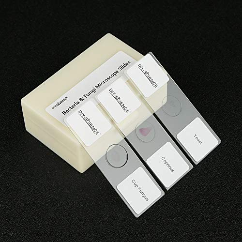 DIY-SCIENCE Prepared Bacteria and Fungi Microscope Slide Set, 9pcs Slides for Biology Teacher Students Micro Organisms Science Education - Image 2