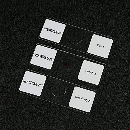 DIY-SCIENCE Prepared Bacteria and Fungi Microscope Slide Set, 9pcs Slides for Biology Teacher Students Micro Organisms Science Education - Image 3