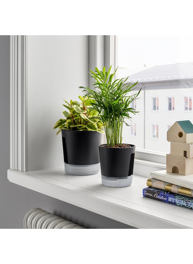 Green Tiger Self-Watering Plant Pot, In/Outdoor Transparent/Anthracite, 9 Cm - Image 4