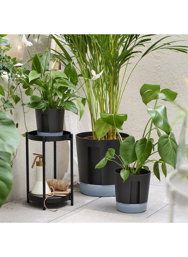 Green Tiger Self-Watering Plant Pot, In/Outdoor Transparent/Anthracite, 9 Cm - Image 5