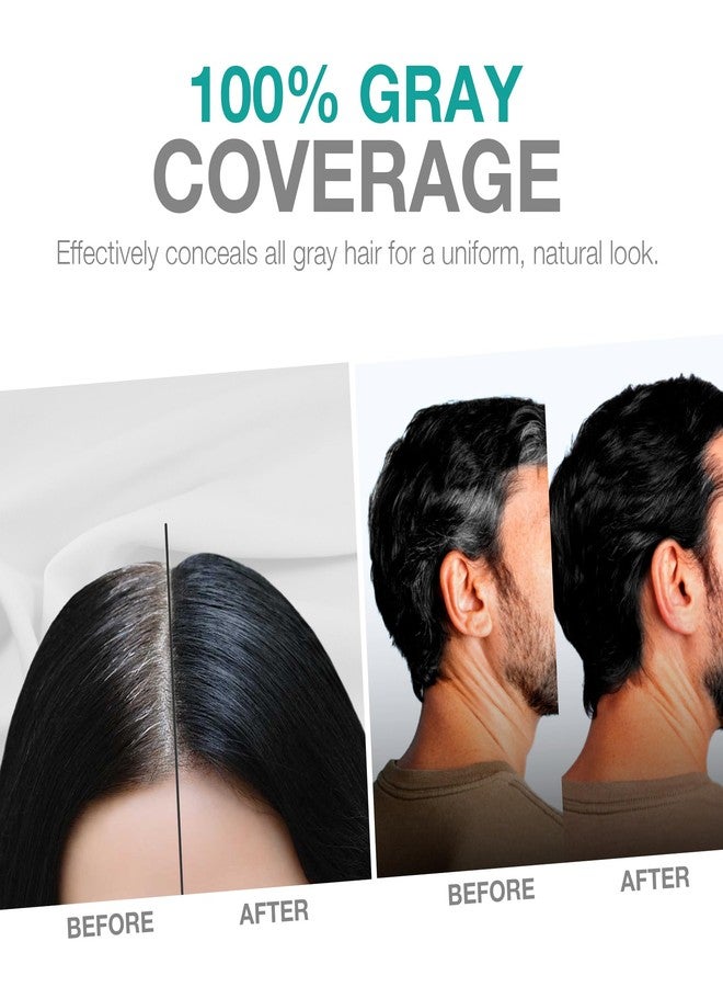REVO Professional Care Hair Dye Shampoo 3-in-1 for Gray Hair Coverage (300ml) - Natural Herbal Formula with Argan Oil & Aloe Vera, Vegan Instant Permanent Hair Color for Men & Women - BLACK - Image 2