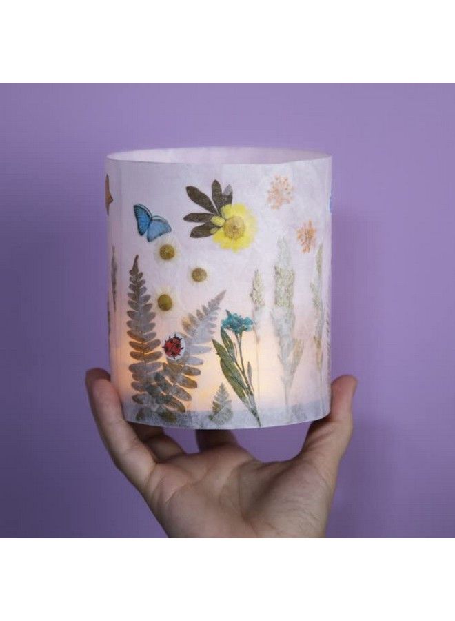 PlayMonster Craft Tastic Nature Lantern Nature Diy Craft Kit Outdoor Crafting Fun Bring Nature Inside Comes With Material To Make Lantern With Tea Light Ages 8+ - Image 4