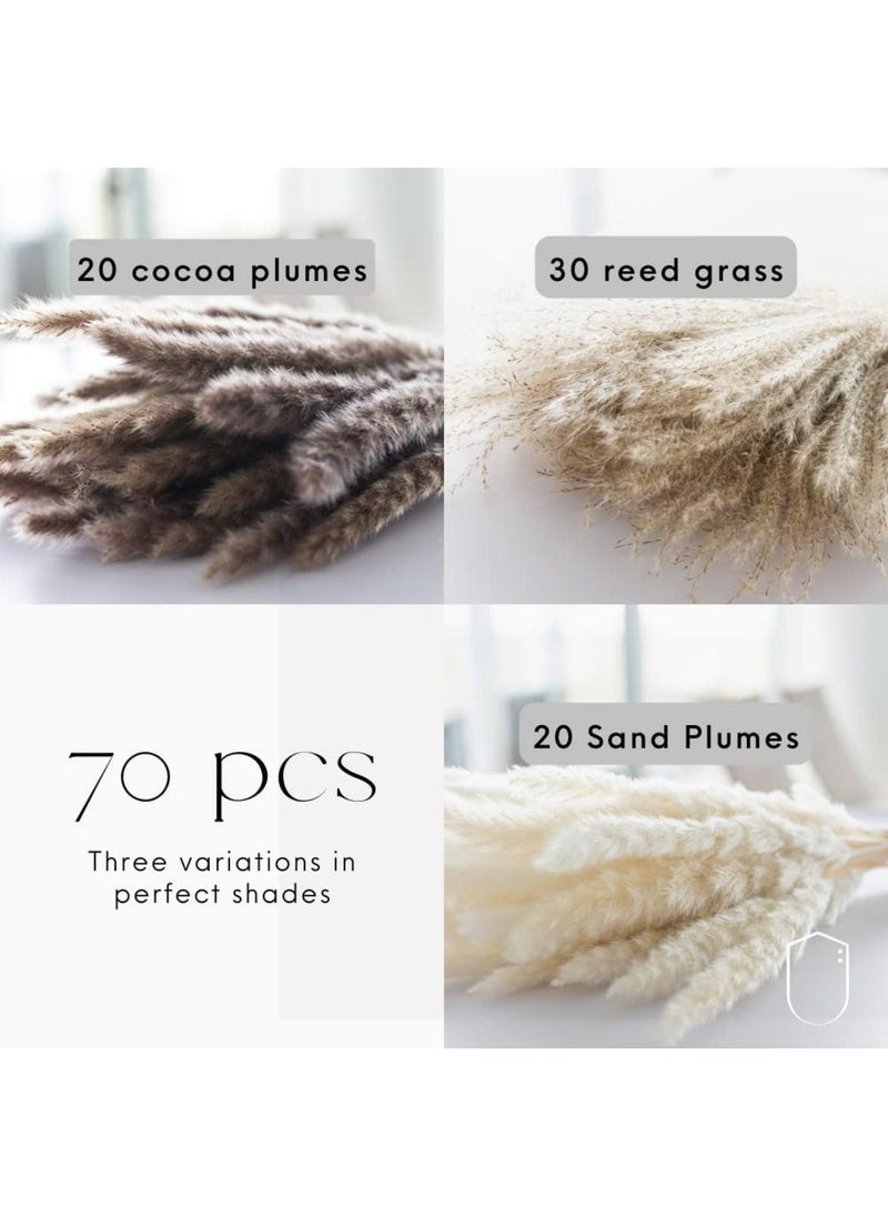 Generic 70 Pcs Dried Pampas Grass Dried Flowers Of Small Reeds Boho Natural Flowers Arrangements White Reed Bunny Tails for Home Decor Flower Living Room Balcony Wedding Party 