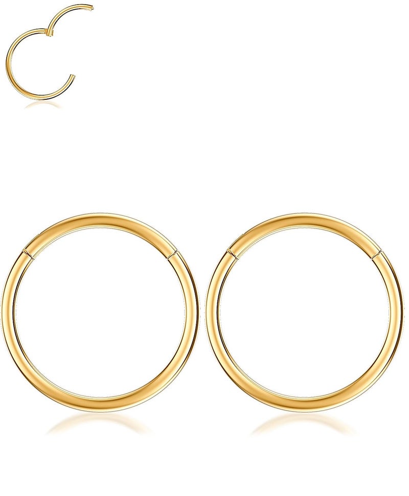 AMASIS 2Pcs 20Gauge Gold Nose Rings Hoops - Men Women 316L Surgical Steel Hinged Nose Ring Hoop for Nostril Septum Cartilage Helix Daith Tragus Rook Conch Lip Ear Lobe Piercings - Image 1