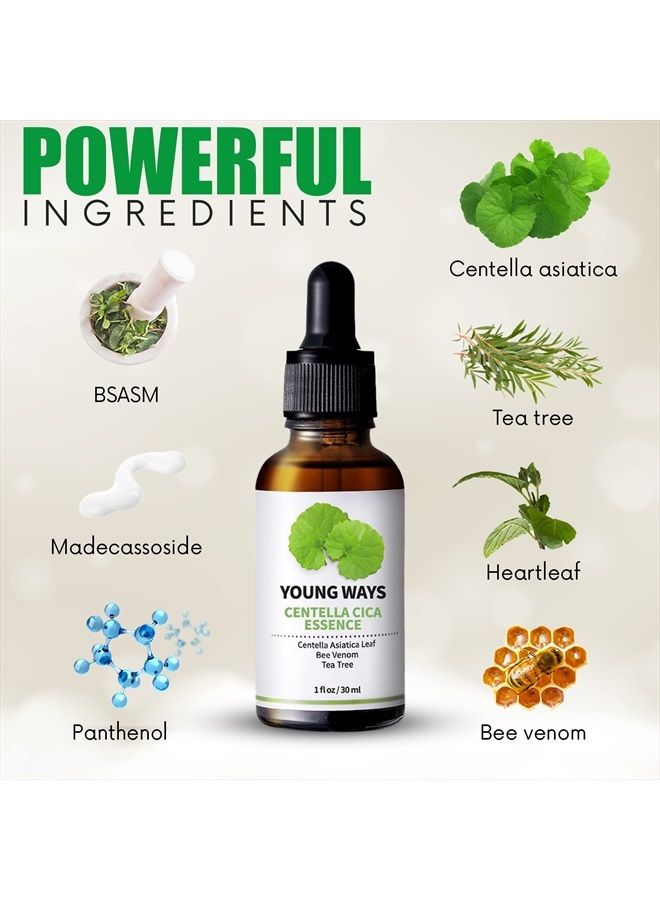 Antique Alive YoungWays Centella Cica Essence Korean Acne Serum for Face – Calming Anti Acne Blemish Ampule Redness Relief Skincare Facial Spot Treatment With Centella Asiatica Extract, Tea Tree Oil - Image 2