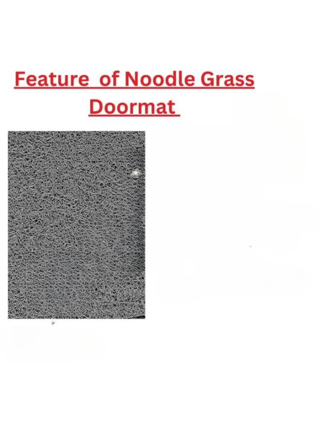 NomoyPet سجادة أرضية قفص الزواحف القابلة للطي من نومويبت - نسيج عشبي، بطانة تيراريوم مضادة للانزلاق وماصة للسحالي والثعابين والسلاحف - Image 3