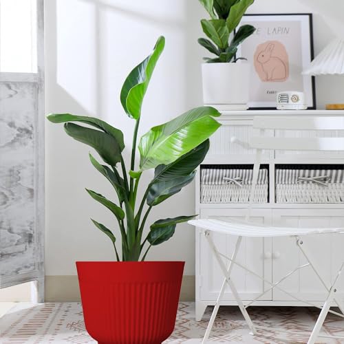 IMAGINEA 12 Inch Flower Pot for Plants | Pack of 6 |Home Decoration Plastic Big Size Large pots for Plants Gamla | Plastic Planters for Outdoor Plants for Balcony, Garden, Living Room, Office (Red) - Image 4