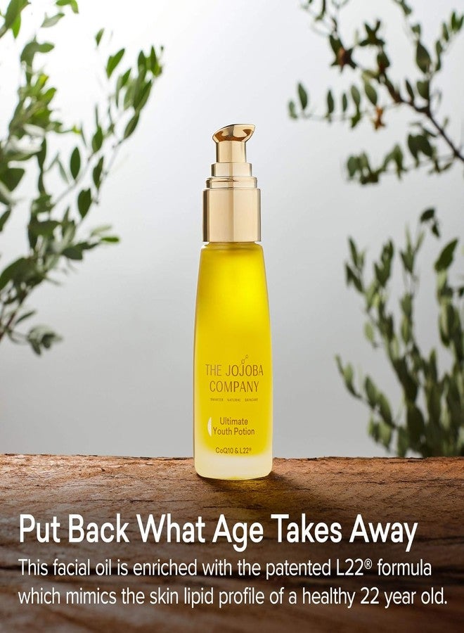 jojoba منتج جوجوبا كومباني لمستحضر الشباب النهائي، يحافظ على إشراقة الشباب، يحسن مرونة البشرة وثباتها، غني بصيغة L22 الحاصلة على براءة اختراع - يستعيد ملف الدهون في البشرة لشخص صحي يبلغ من العمر 22 عامًا، 50 مل - Image 2