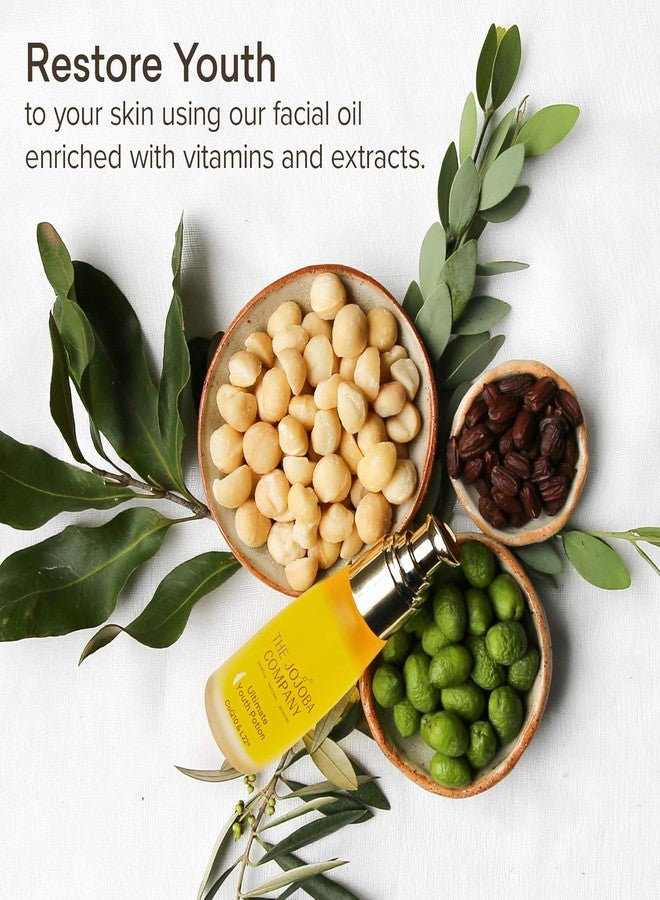 jojoba منتج جوجوبا كومباني لمستحضر الشباب النهائي، يحافظ على إشراقة الشباب، يحسن مرونة البشرة وثباتها، غني بصيغة L22 الحاصلة على براءة اختراع - يستعيد ملف الدهون في البشرة لشخص صحي يبلغ من العمر 22 عامًا، 50 مل - Image 3