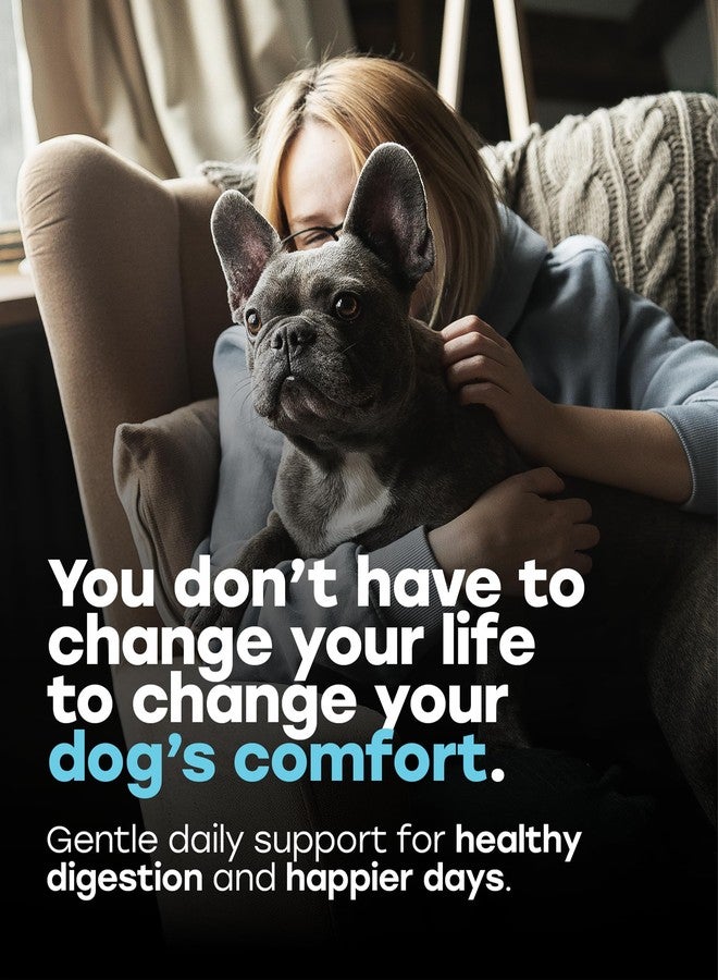 بروبيوتيك للكلاب قابلة للمضغ - تركيبة متكاملة معتمدة من قبل أطباء متخصصين، تحتوي على إنزيمات هضمية، وبريبيوتيك، وكركم، وأوميغا 3، وألياف - تدعم صحة الأمعاء، وتخفف الإسهال، وحكة الجلد، ومشاكل الأذن - مناسبة لجميع الأعمار، صنع في الولايات المتحدة الأمريكية، 140 قطعة بنكهة لحم البقر - Image 2