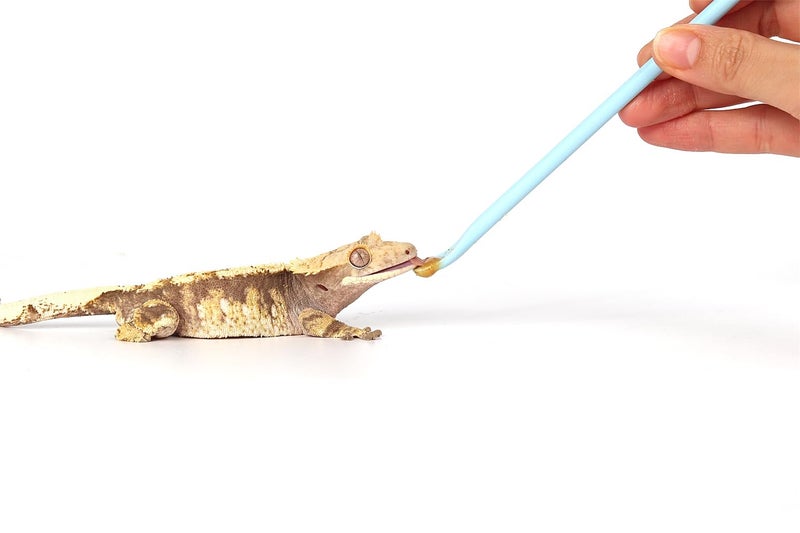 WOLEDOE 2Pcs Crested Gecko Food Mixing Spoon, Feeding Spoon fit Lizard Gargoyle Bearded Dragon - Blue - Image 5