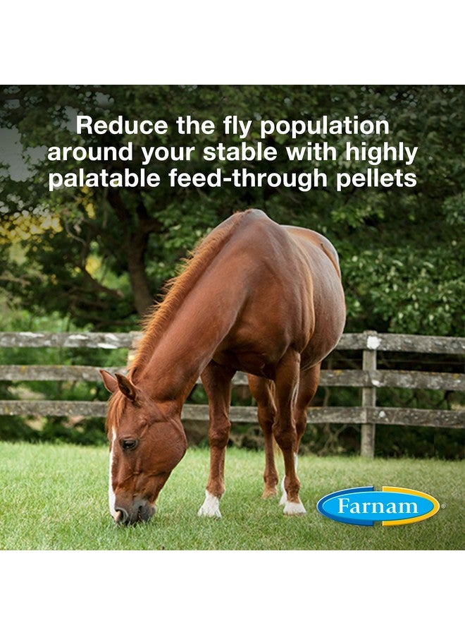 Farnam SimpliFly Feed Through Fly Control for Horses, Breaks the Fly Life Cycle, Pellets, 10 Pound Bucket, 160 Day Supply for One Horse - Image 2